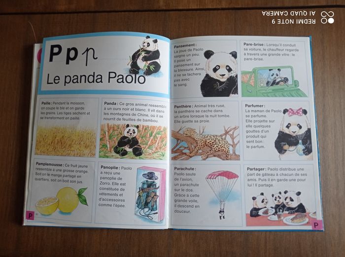 Livre éducatif enfant, DICTIO, Éditions Fleurus - photo numéro 2