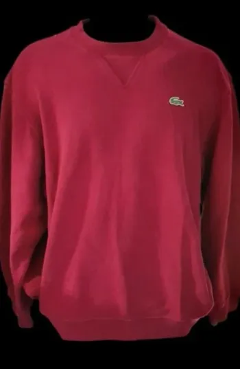 Sweat homme Lacoste 4