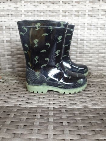 Botte pluie dinosaure