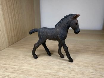 Poulain lipizzan Schleich