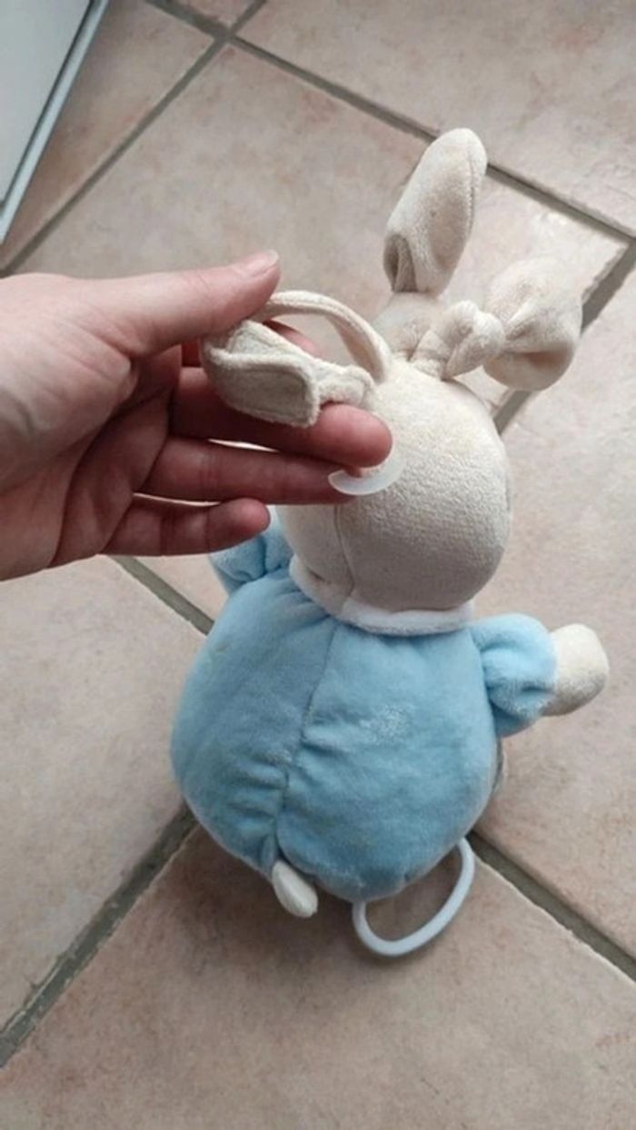 Lapin bleu Musical - photo numéro 2