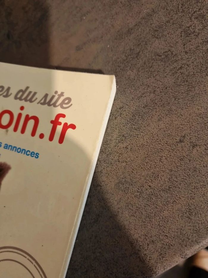 Livre les pepites du site leboncoin - photo numéro 6