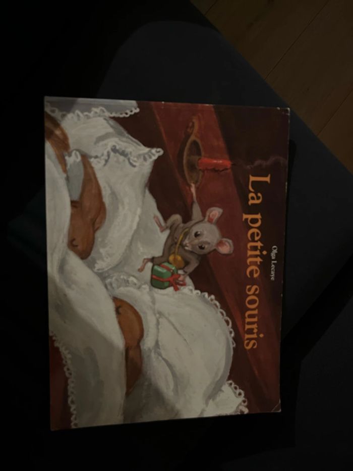 Livre pour enfants la petite souris de olga Lecaye