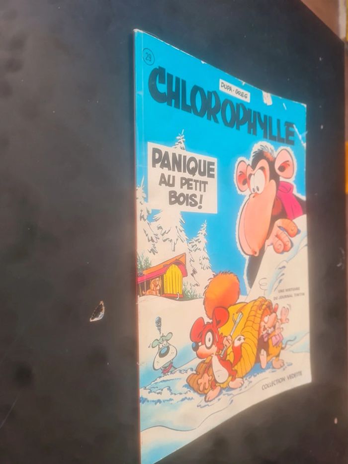 Chlorophylle panique au petit bois ! - photo numéro 6