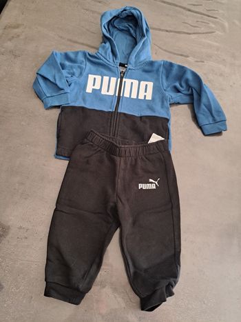 Ensemble Puma