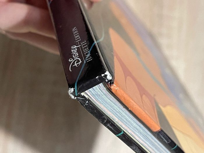 Livre de Pocahontas vintage - photo numéro 4