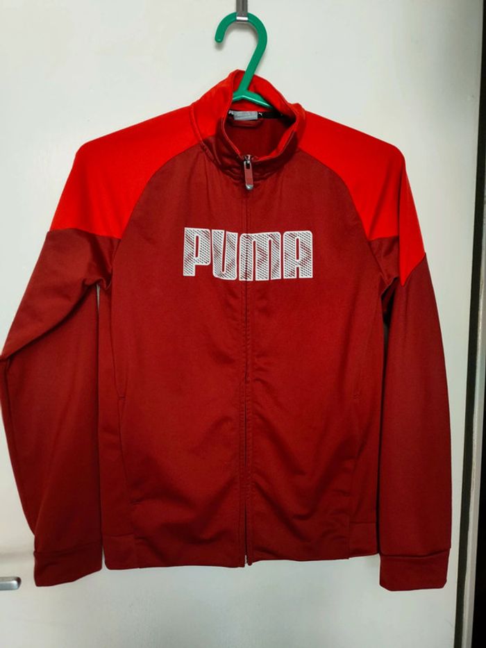 Veste Puma