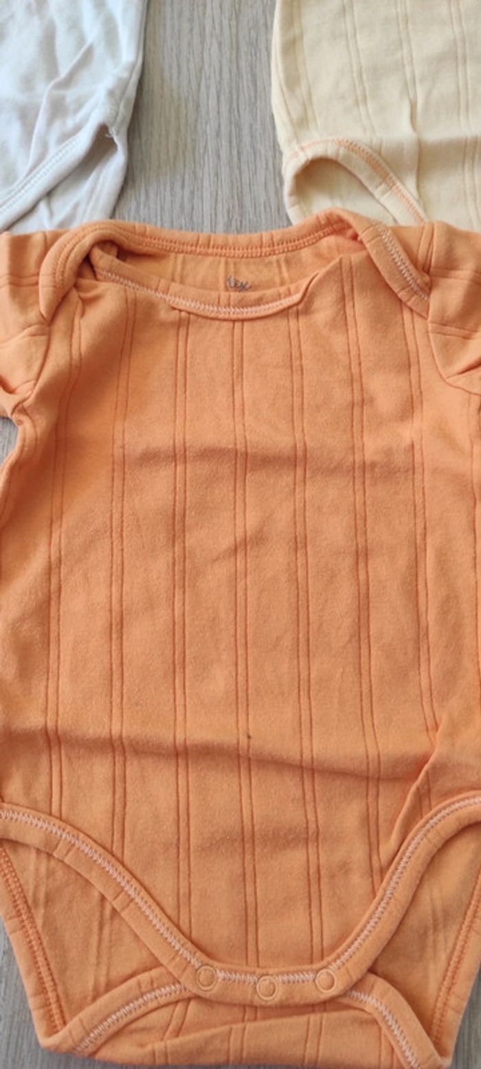 Lot bodies 6 mois - photo numéro 2