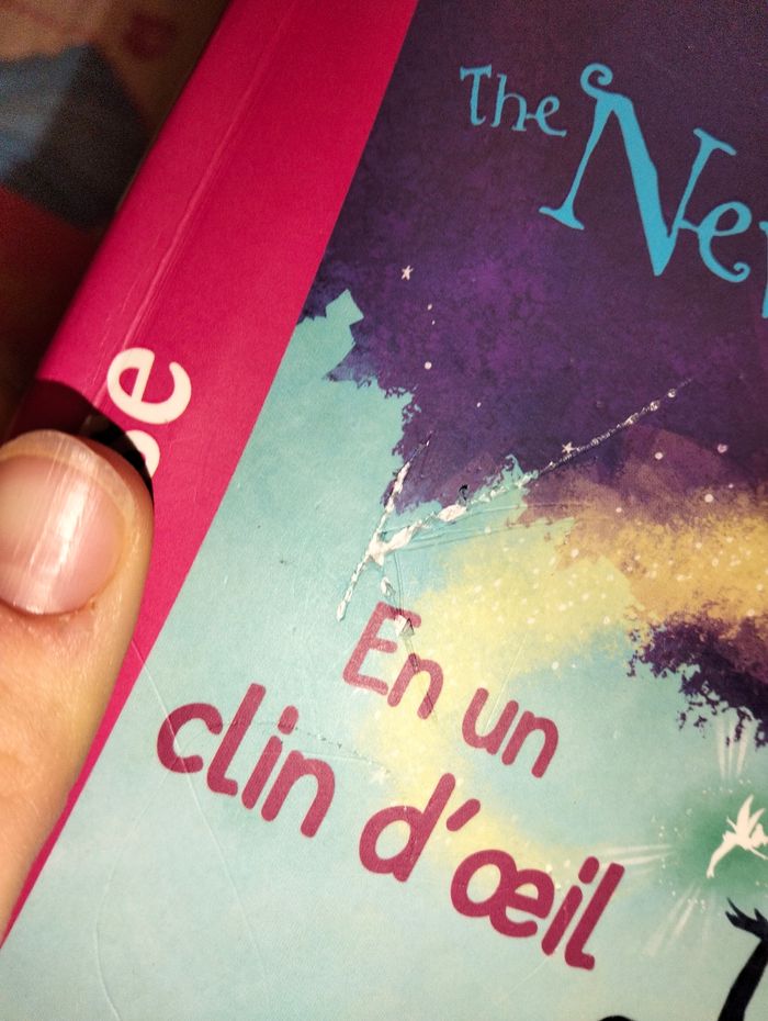 Lot Livre "the never girls " - photo numéro 5