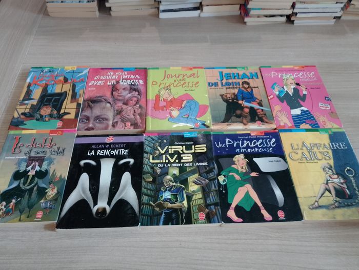 Lot de 10 livres de poches divers (12) - photo numéro 1