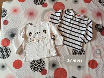 Lot 2 t-shirts manches longues Taille 18 mois
