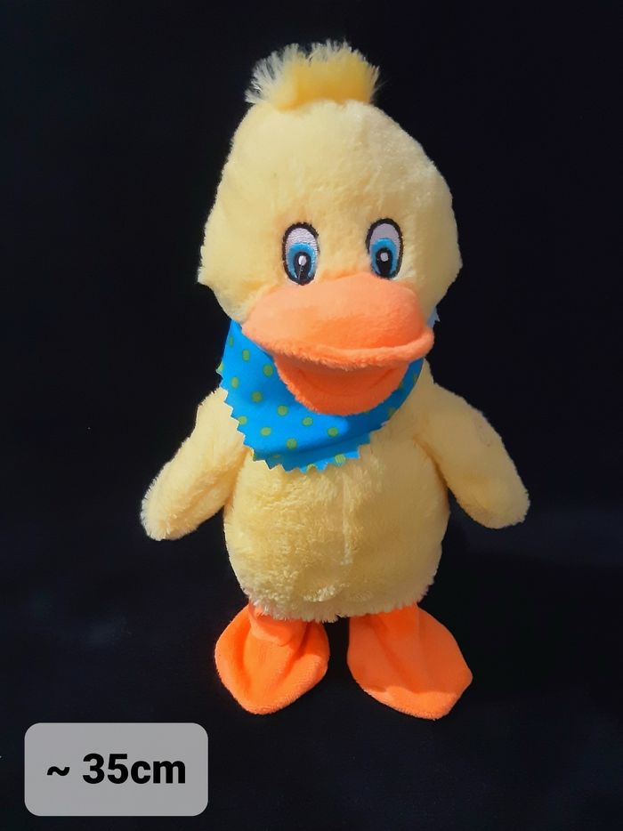 Canard chante et danse