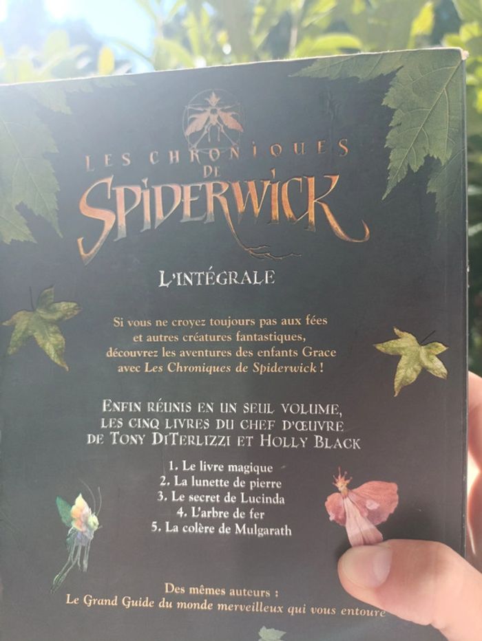 Livre les chroniques de spiderwick - photo numéro 5