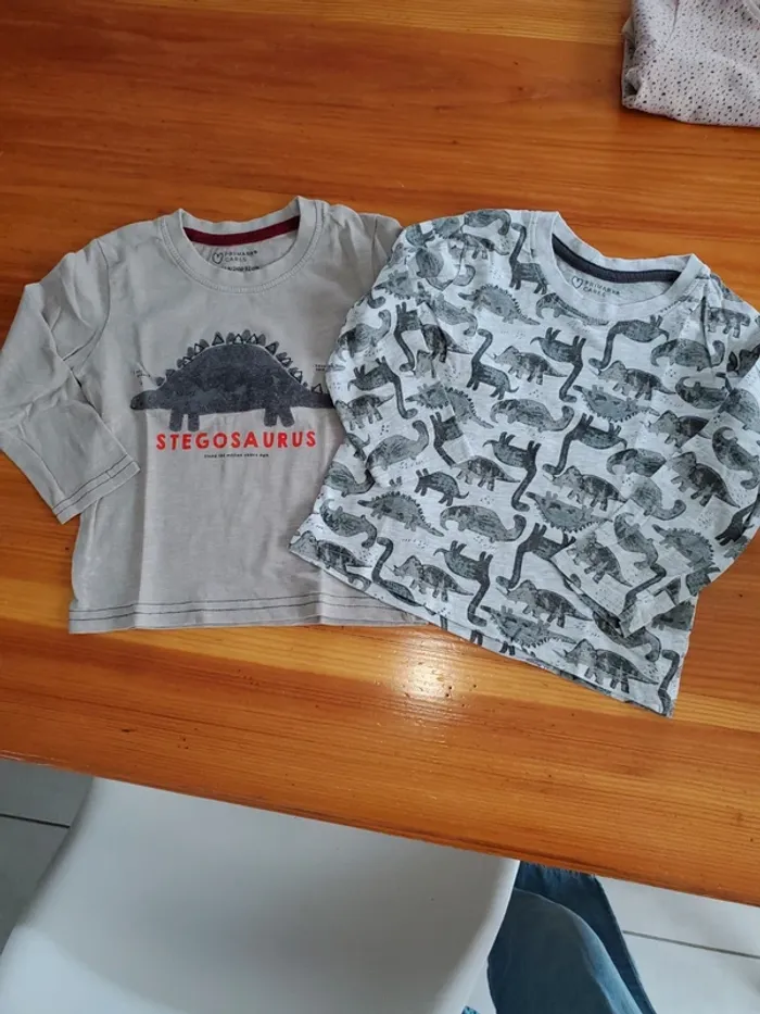 Lot 2 t-shirts manches longues 92 cm
