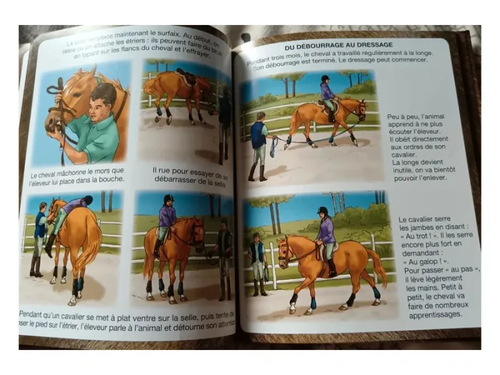 gros vide dressing. reduction active pour les lots L'imagerie du poney et du cheval - photo numéro 3