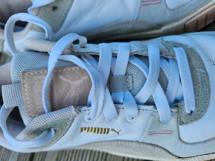 Puma cali blanche - photo numéro 3