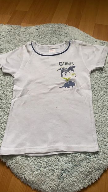 Tee shirt dinosaure absorba