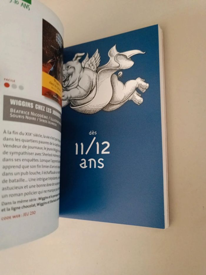 La bibliothèque idéale des 7-12 ans 200 romans jeunesse guide Fnac - photo numéro 8