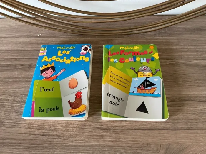 Lot de 2 livres apprentissage enfants
