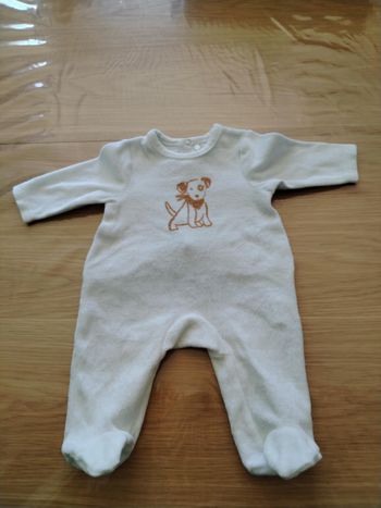 Pyjama chien