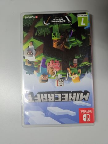 Jeu minecraft