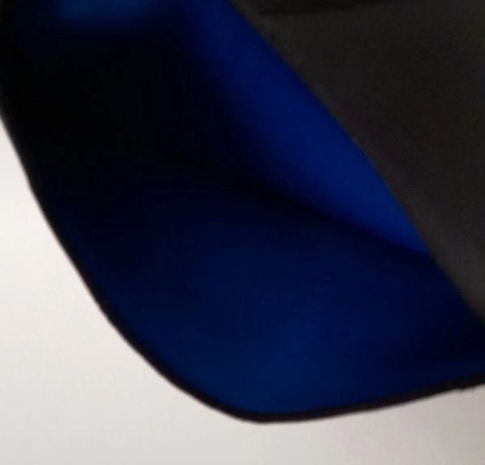 Graine de sudation taille L - photo numéro 4