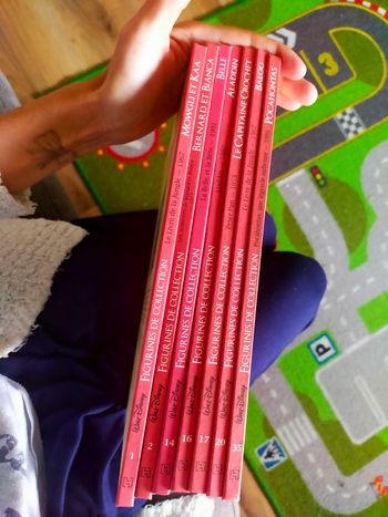 Livre hachette walt disney 