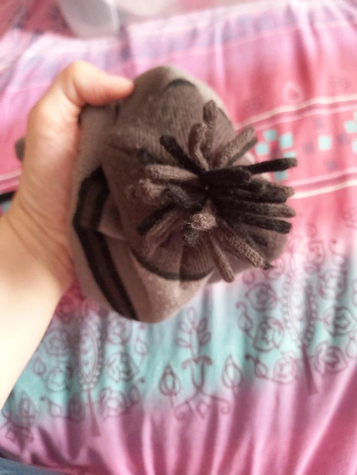 Bonnet - photo numéro 8