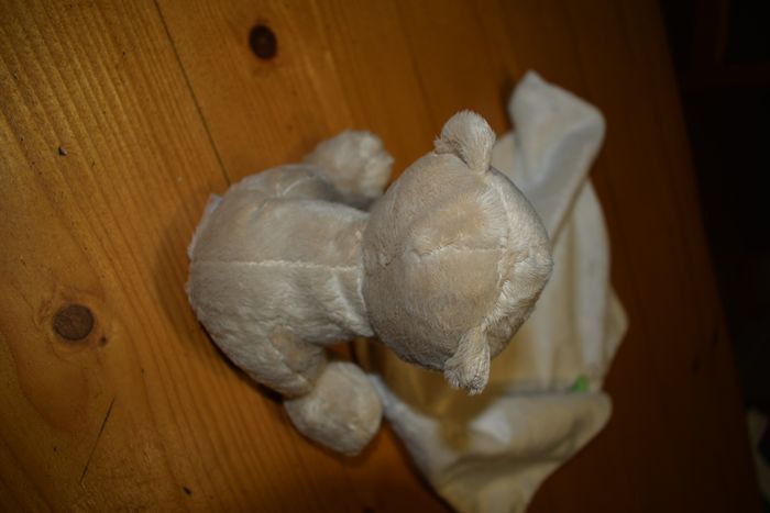doudou ours - photo numéro 2