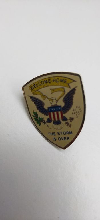 Pin's  The storm is over - welcome home