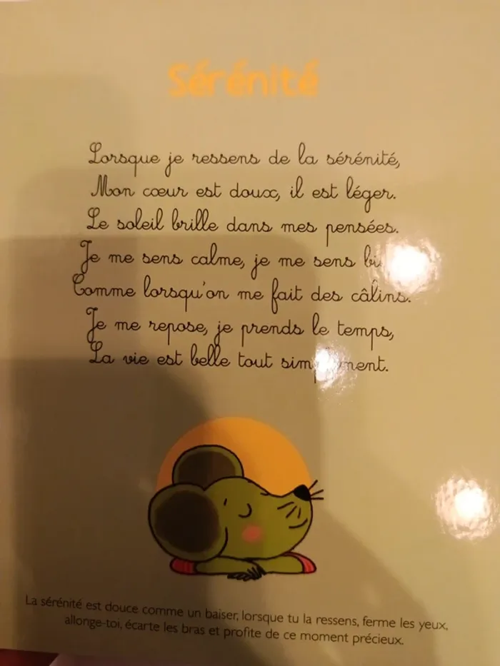 Livre sonore le livre de mes émotions - photo numéro 8