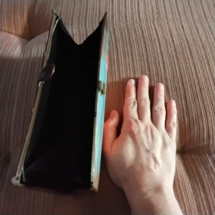 Pochette Anna bella - photo numéro 7