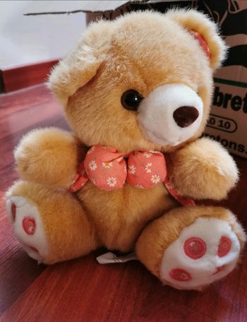 Peluche ours avec sac