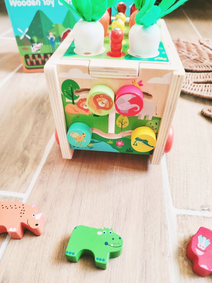 🥕Camion d'éveil 3 en 1 potager, pêche à la ligne et animaux boîte à formes en bois - photo numéro 5