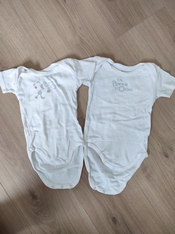 Lot 2 bodies 12 mois