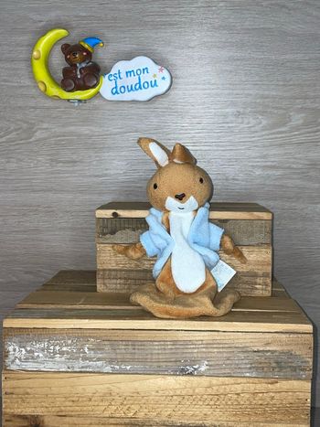 LAI06 doudou lapin 🐰 picot