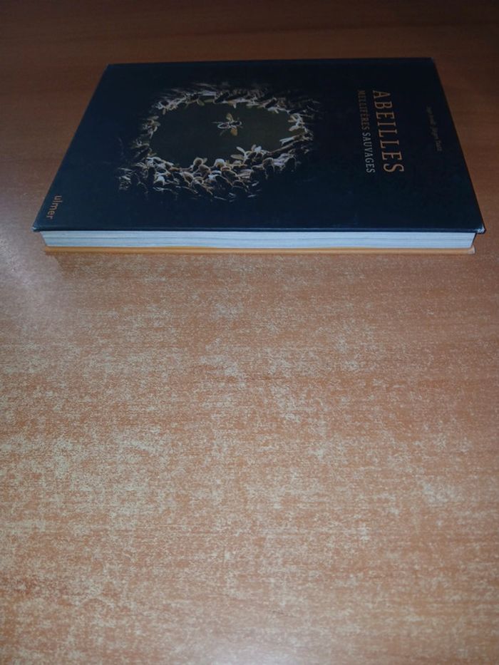 Abeilles mellifères sauvages - photo numéro 6