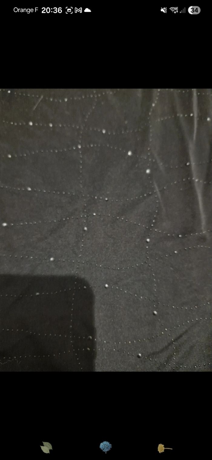 Top Charlott' - photo numéro 3