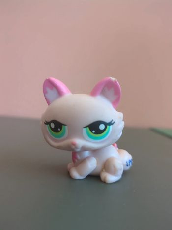 little petshop chat