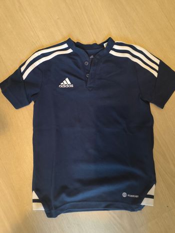 Polo adidas