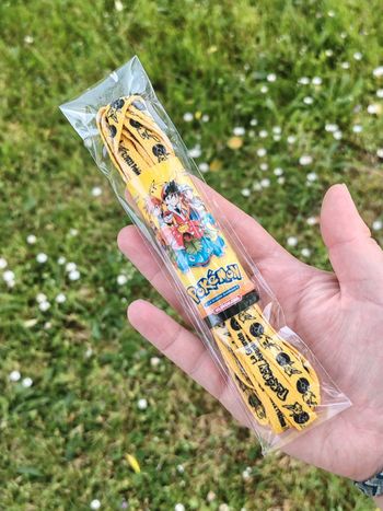 Lacets de chaussure pokemon