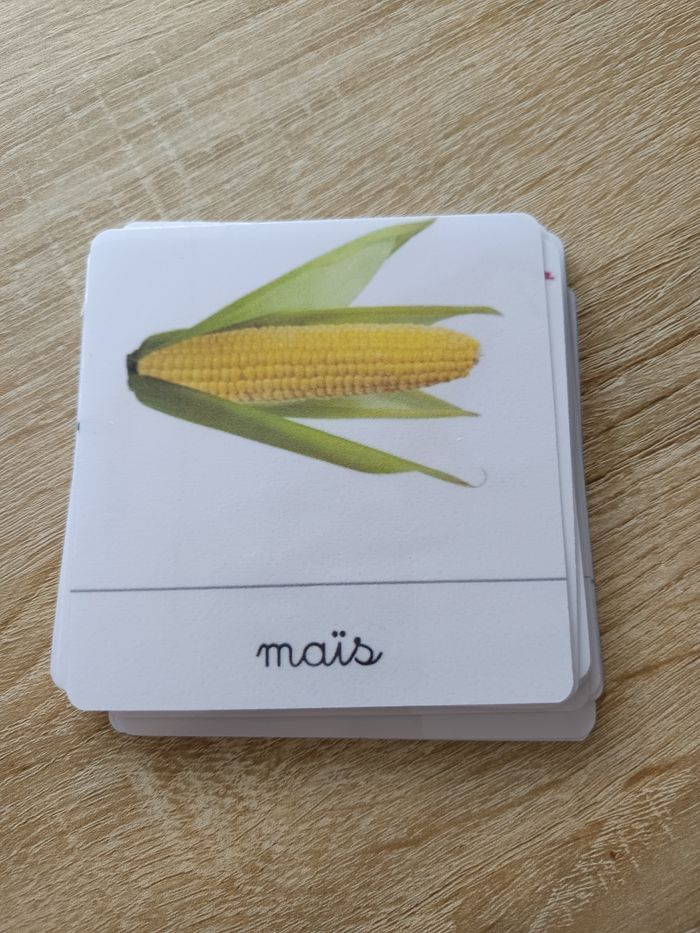 Montessori les légumes - photo numéro 3