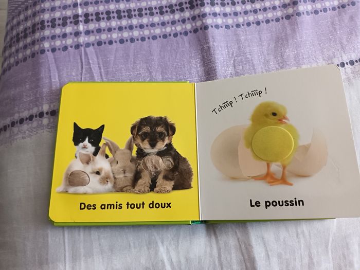 Livres - photo numéro 2