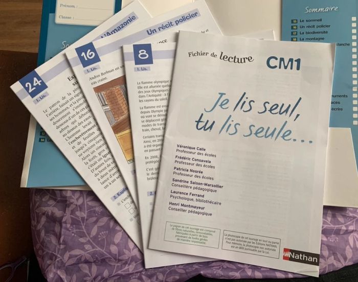 Fichier de lecture CM1 Je lis seul, tu lis seul - Nathan - photo numéro 5