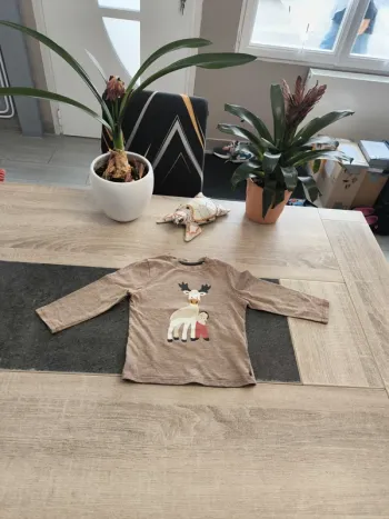 Tee-shirt garçon ml 18 mois obaibi