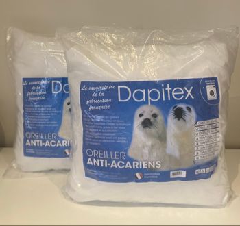 Dapitex 2 oreillers 60x60 cm 🇫🇷 Anti acariens
