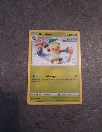 Carte Pokémon Badabouin