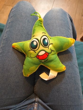 Peluche étoile de mer verte