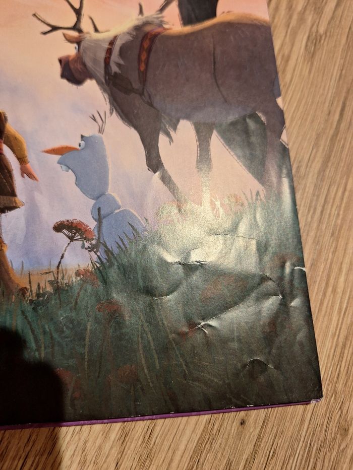 Livre reine des neiges 2 - photo numéro 5