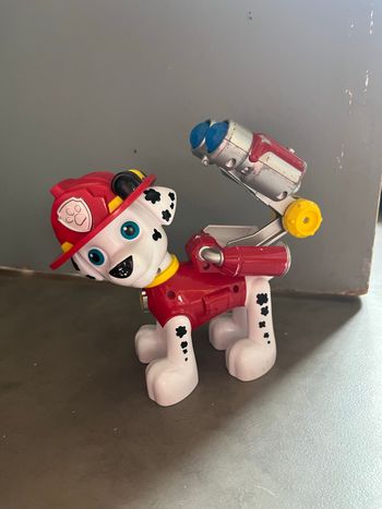 Marcus pat patrouille